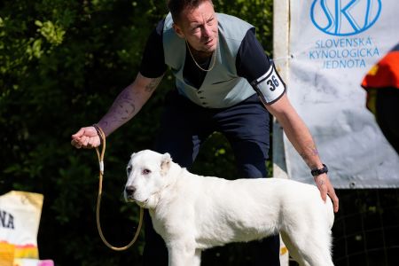 36.  	Suka	Mladšieho dorastu	DOGMA Z NOVÝCH KOŠARÍSK	VN