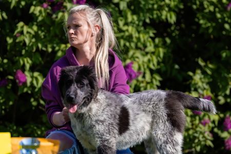 39. 	Suka	Ml.dorastu	RENESMEE TENERIS KIWI	VN4