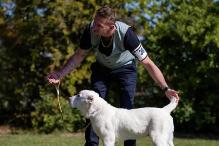 36.  	Suka	Mladšieho dorastu	DOGMA Z NOVÝCH KOŠARÍSK	VN