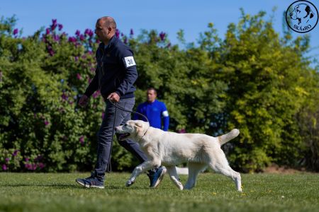 38. 	Suka	Ml.dorastu	LORA HISTORY SOUL	VN3