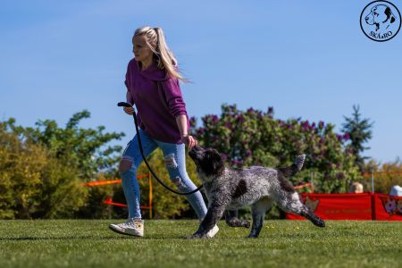 39. 	Suka	Ml.dorastu	RENESMEE TENERIS KIWI	VN4