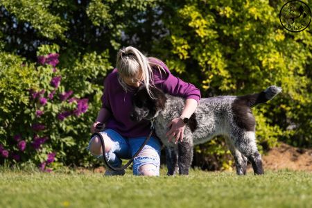 39. 	Suka	Ml.dorastu	RENESMEE TENERIS KIWI	VN4