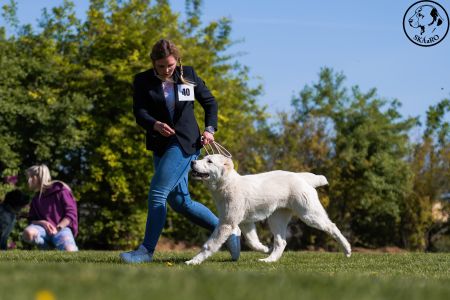 40. 	Suka	Mladšieho dorastu	SURI CHACALKIZ CHENEKEL	VN
