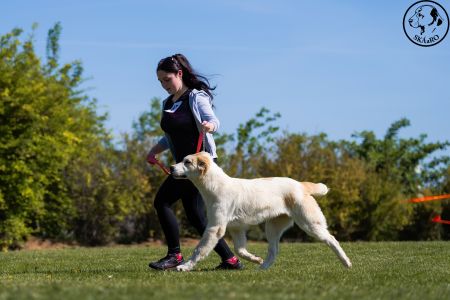 97. 	Suka	Mladšieho dorastu	SHEILA CHACALKIZ CHENEKEL	VN2
