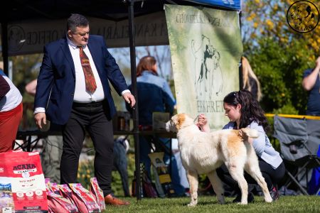 97. 	Suka	Mladšieho dorastu	SHEILA CHACALKIZ CHENEKEL	VN2