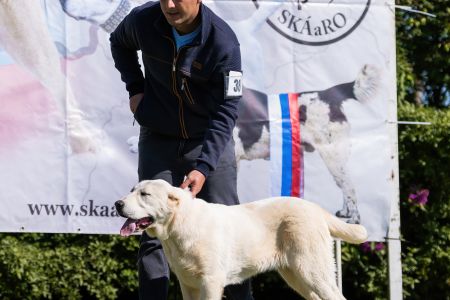 38. 	Suka	Ml.dorastu	LORA HISTORY SOUL	VN3