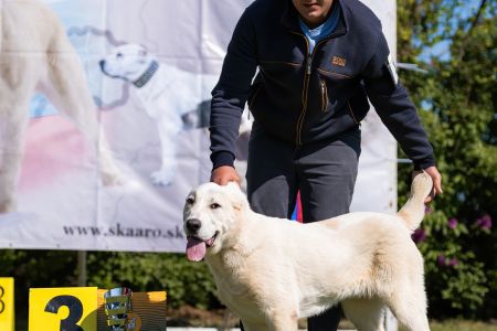 38. 	Suka	Ml.dorastu	LORA HISTORY SOUL	VN3