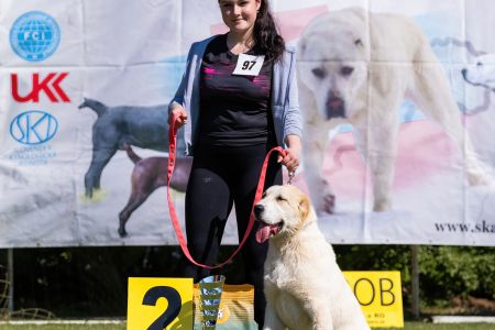 97. 	Suka	Mladšieho dorastu	SHEILA CHACALKIZ CHENEKEL	VN2