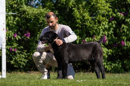 43. Suka	Dorastu	DARIYA	VN1