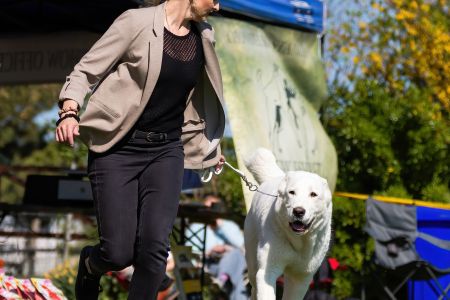 42. 	Suka	Dorastu	DAIRA VAJOMI CAO	VN3