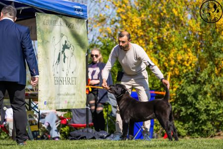 43. Suka	Dorastu	DARIYA	VN1