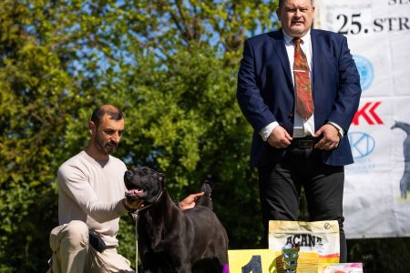 43. Suka	Dorastu	DARIYA	VN1