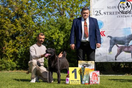 43. Suka	Dorastu	DARIYA	VN1