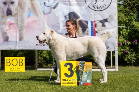 42. 	Suka	Dorastu	DAIRA VAJOMI CAO	VN3