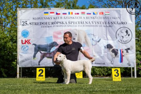 37.  	Suka	Mladšieho dorastu	ESME VALOROSO DEL BUVALA	VN1, BIS Minor puppy