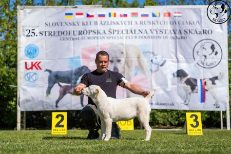 37.  	Suka	Mladšieho dorastu	ESME VALOROSO DEL BUVALA	VN1, BIS Minor puppy