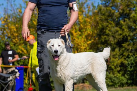 . Pes	Mladšieho dorastu	MENEK ABELHAYAT	VN1