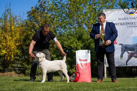 37.  	Suka	Mladšieho dorastu	ESME VALOROSO DEL BUVALA	VN1, BIS Minor puppy