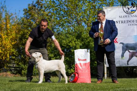 37.  	Suka	Mladšieho dorastu	ESME VALOROSO DEL BUVALA	VN1, BIS Minor puppy