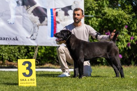 43. Suka	Dorastu	DARIYA	VN1