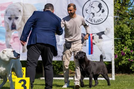 43. Suka	Dorastu	DARIYA	VN1