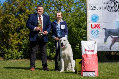 7. 	Pes	Dorastu	NAZIR ERK ESHRET	VN1, BIS Puppy