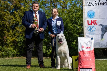 7. 	Pes	Dorastu	NAZIR ERK ESHRET	VN1, BIS Puppy