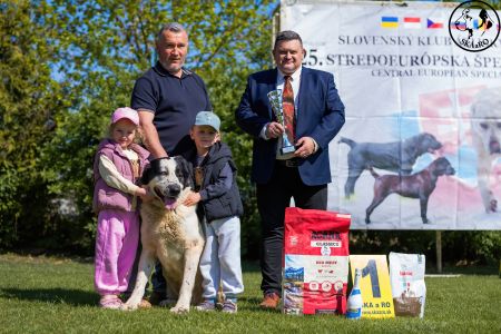 34. 	Pes	Veteránov	AZERI HARCOS T´MIDISLANDER UNIQUE	V1