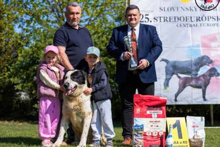 34. 	Pes	Veteránov	AZERI HARCOS T´MIDISLANDER UNIQUE	V1