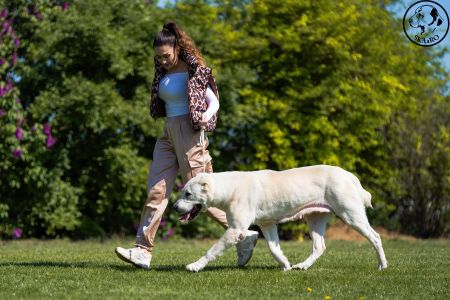 95. 	Suka	Veteránov	 ENIŠ IZ RUSKOG IZVORA  V1, BIS Veterán