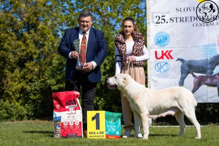 95. 	Suka	Veteránov	 ENIŠ IZ RUSKOG IZVORA  V1, BIS Veterán