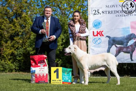 95. 	Suka	Veteránov	 ENIŠ IZ RUSKOG IZVORA  V1, BIS Veterán