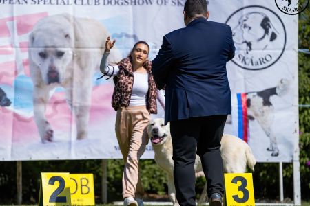 95. 	Suka	Veteránov	 ENIŠ IZ RUSKOG IZVORA  V1, BIS Veterán