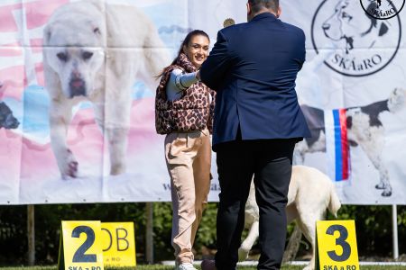 95. 	Suka	Veteránov	 ENIŠ IZ RUSKOG IZVORA  V1, BIS Veterán