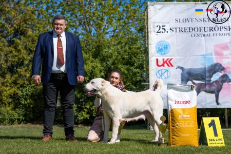 95. 	Suka	Veteránov	 ENIŠ IZ RUSKOG IZVORA  V1, BIS Veterán