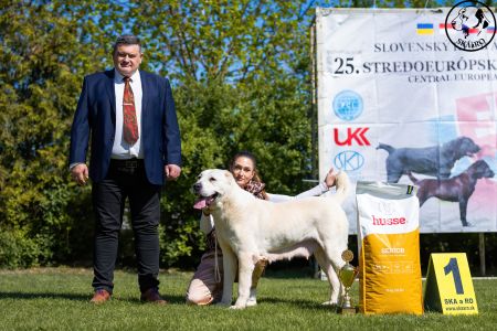 95. 	Suka	Veteránov	 ENIŠ IZ RUSKOG IZVORA  V1, BIS Veterán