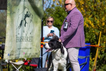 34. 	Suka	Trieda čestná	NATASHA PASIBA SHAMBAL	V1