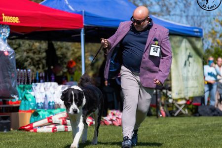 34. 	Suka	Trieda čestná	NATASHA PASIBA SHAMBAL	V1