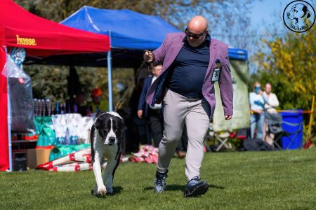 34. 	Suka	Trieda čestná	NATASHA PASIBA SHAMBAL	V1