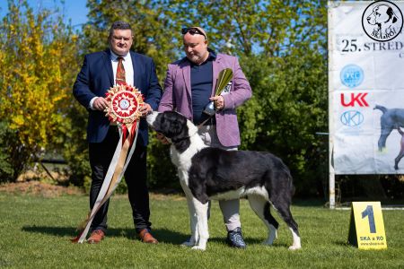 34. 	Suka	Trieda čestná	NATASHA PASIBA SHAMBAL	V1