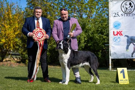 34. 	Suka	Trieda čestná	NATASHA PASIBA SHAMBAL	V1