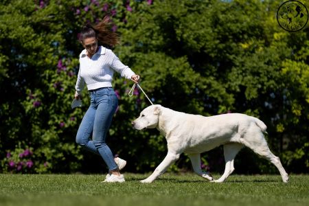 92.	Suka	Šampiónov	KAZBEGI CHARIZMA	V1, CAC