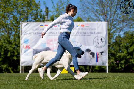 92.	Suka	Šampiónov	KAZBEGI CHARIZMA	V1, CAC