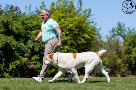 91. 	Suka	Otvorená	ZARA BELLA MIJA	V