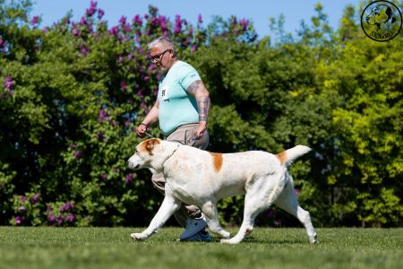 91. 	Suka	Otvorená	ZARA BELLA MIJA	V