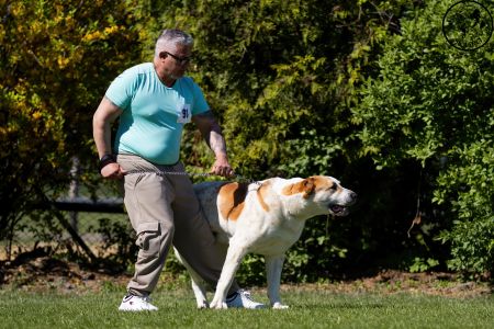 91. 	Suka	Otvorená	ZARA BELLA MIJA	V