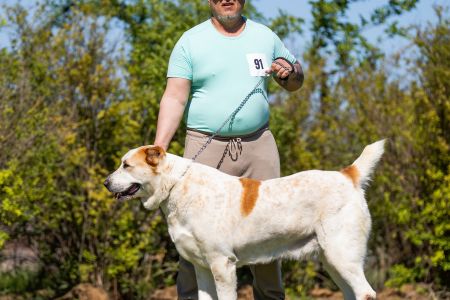 91. 	Suka	Otvorená	ZARA BELLA MIJA	V