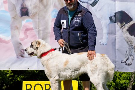 89. 	Suka	Otvorená	RENESMEE TENERIS HIONY	VD