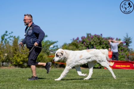89. 	Suka	Otvorená	RENESMEE TENERIS HIONY	VD