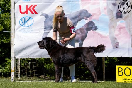 83. 	Suka	Otvorená	MASHA VALIS KENNEL	V